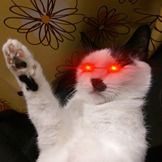 inscription 714bf857352c2e012edf82b7dc30f75e67f142cff746cbd373bd249c3cb04c1bi0