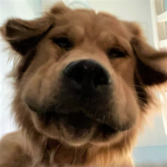 inscription 853f32786166eec41a1689f33d45d468613ba4ba69f67682bc7e1fa0cddce903i0