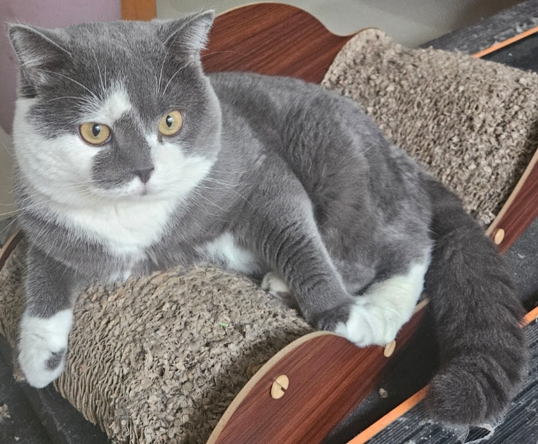 inscription 942dc697ee257c28bec6a2e1125360b4ea5c707c6dfd2a0ed747127e38a64ab4i0