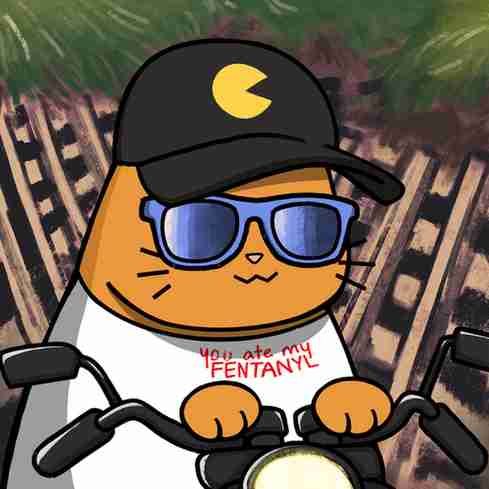 inscription b06b27c7a6b95db201a43f2028b7cae1dec273bf351e95ca62a553f04e8d8dd7i1